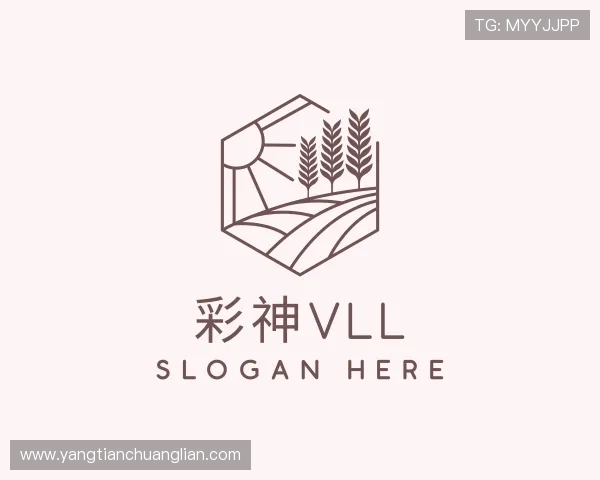 介绍&#x5f69;&#x795e;&#x56;&#x6c;&#x6c;